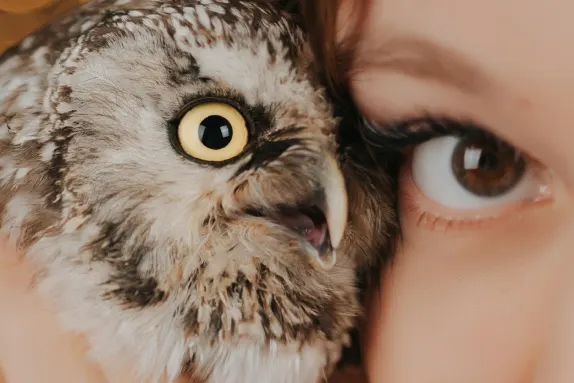 Kaszinó Loco Win Támogatás